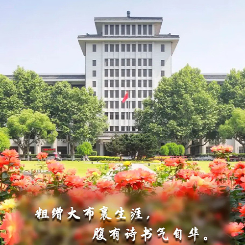 我的大學(xué)