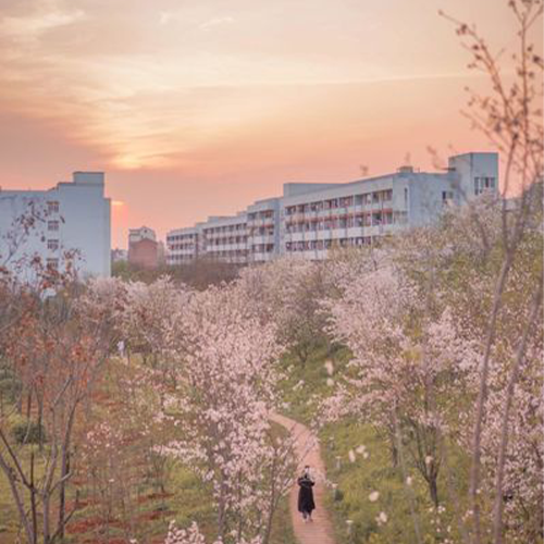 杭州師范大學(xué)-大學(xué)文化