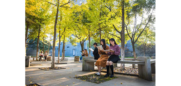 寧波城市職業(yè)技術學院 - 最美大學