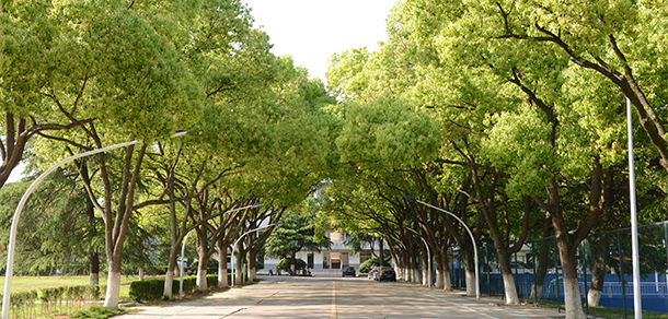 巢湖學(xué)院 - 最美大學(xué)