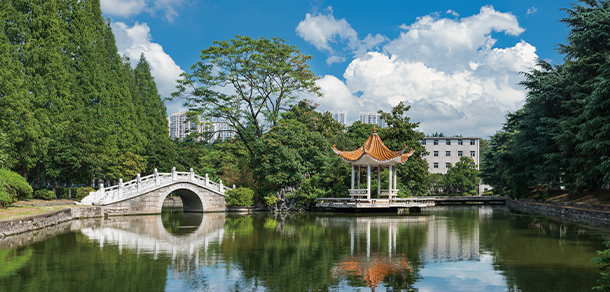 合肥工業(yè)大學(xué) - 最美大學(xué)