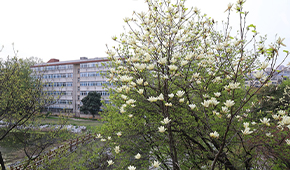 池州職業(yè)技術(shù)學(xué)院