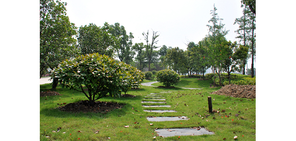 安徽城市管理職業(yè)學院 - 最美大學