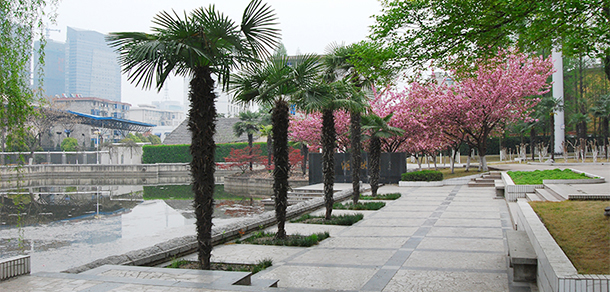 安徽郵電職業(yè)技術(shù)學(xué)院