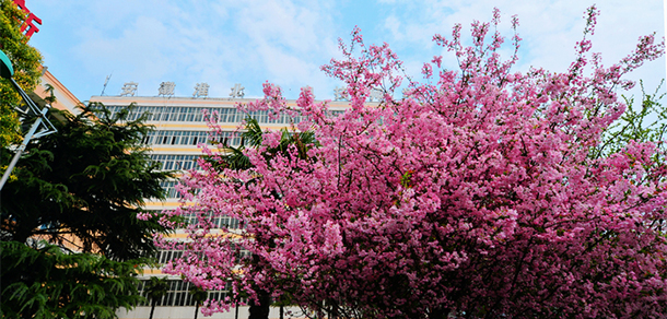 安徽礦業(yè)職業(yè)技術學院 - 最美大學