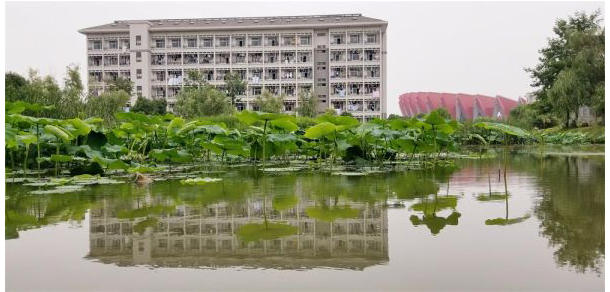 銅陵職業(yè)技術(shù)學(xué)院 - 最美大學(xué)