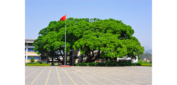 我的大學(xué)-大學(xué)志