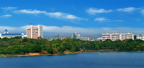 我的大學-大學志