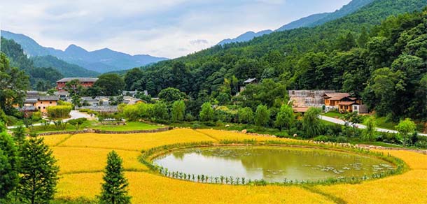 和君職業(yè)學(xué)院