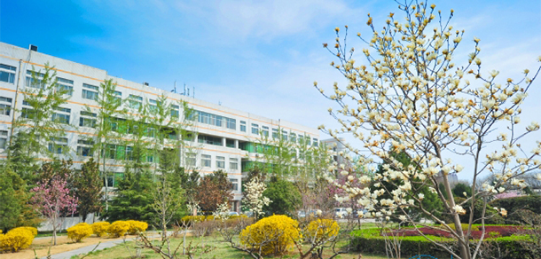 山東理工大學 - 最美大學