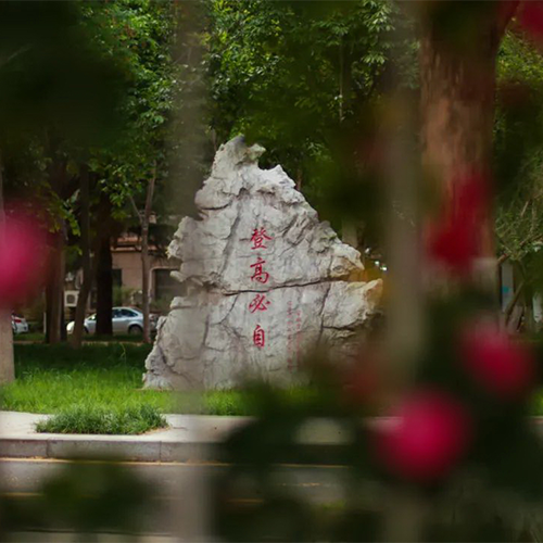 大學(xué)文化