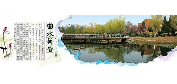 濱州學(xué)院