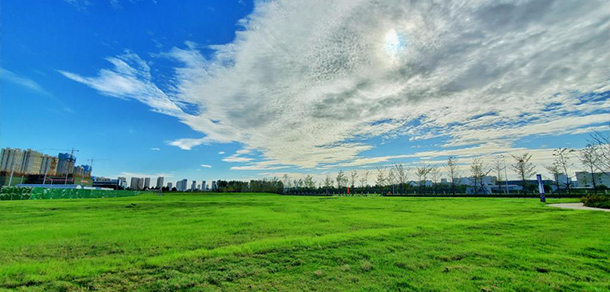 山東科技大學(xué) - 最美大學(xué)