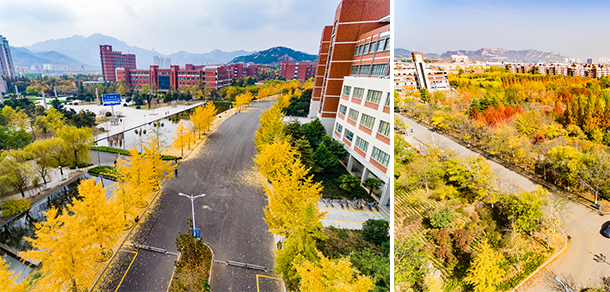 山東科技大學(xué) - 最美大學(xué)