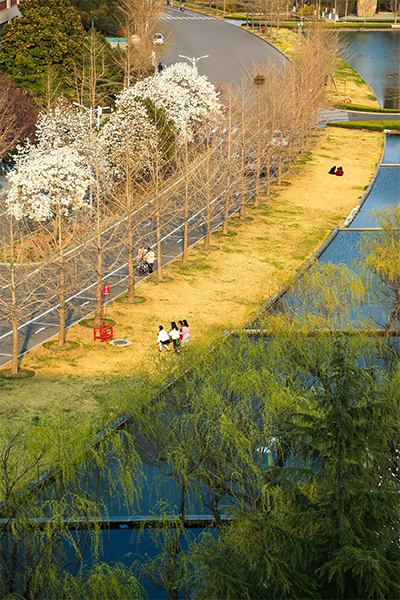 山東科技大學(xué)