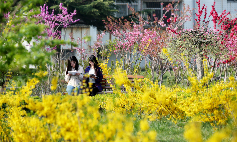 中國最美大學(xué)