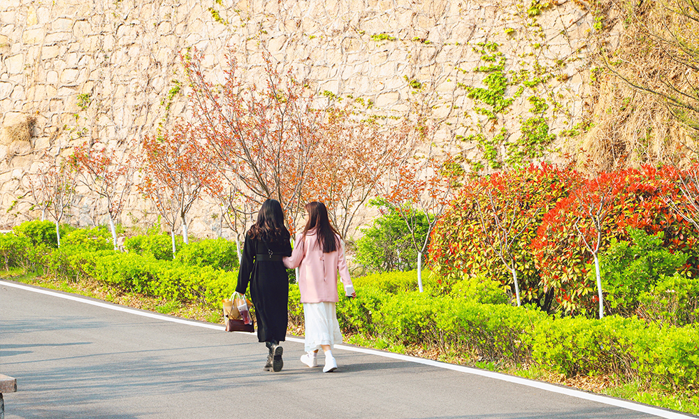 中國最美大學