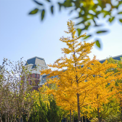 山東財經(jīng)大學燕山學院 - 我們的流金歲月