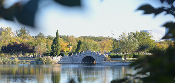 山東石油化工學(xué)院 - 最美大學(xué)