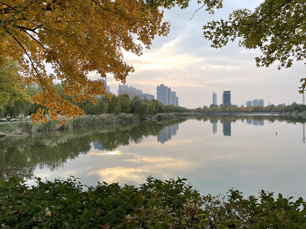 山東石油化工學院 早安青春