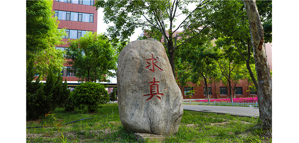 山東華宇工學(xué)院 - 最美大學(xué)