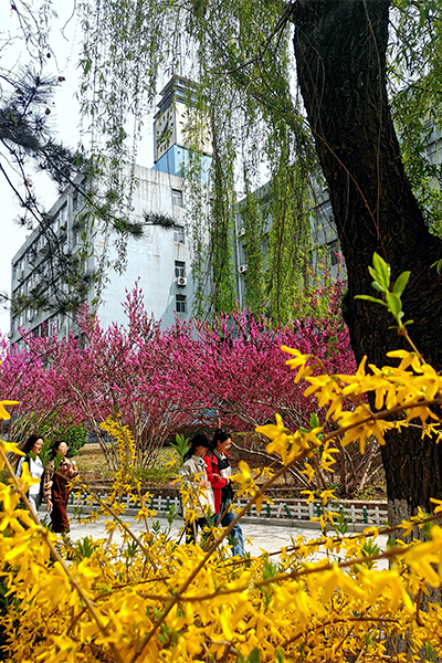 濟(jì)南大學(xué)