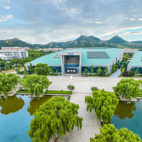 山東管理學院-大學文化