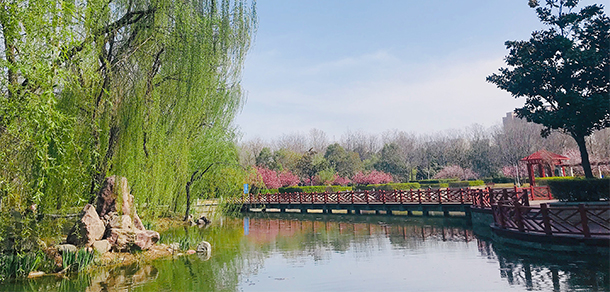 河南師范大學(xué) - 最美大學(xué)