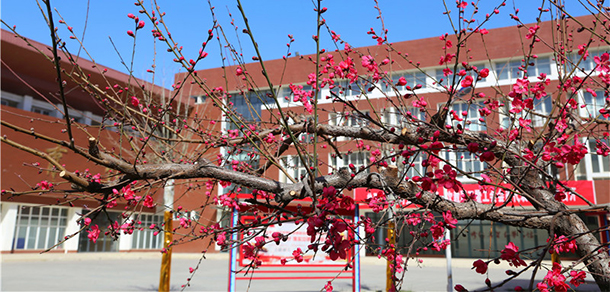 黃河交通學(xué)院 - 最美大學(xué)