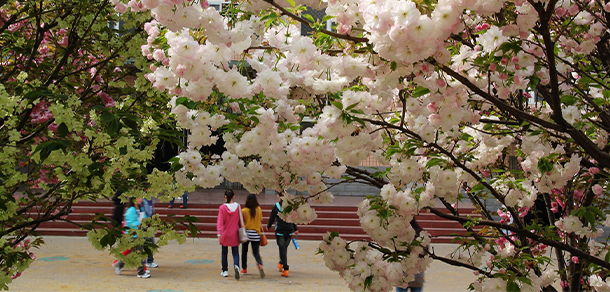 平頂山工業(yè)職業(yè)技術(shù)學(xué)院 - 最美大學(xué)