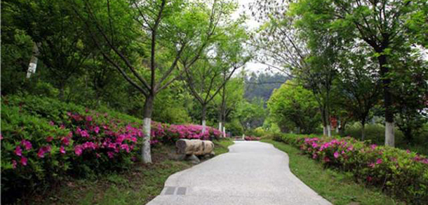 湖北醫(yī)藥學院 - 最美大學