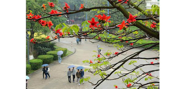 廣東東軟學(xué)院