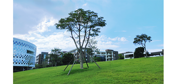 廣東酒店管理職業(yè)技術(shù)學(xué)院 - 最美大學(xué)