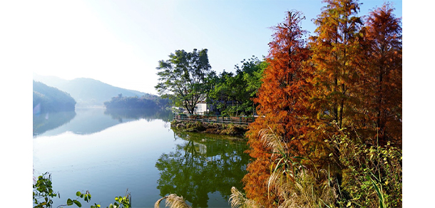 廣州衛(wèi)生職業(yè)技術(shù)學(xué)院 - 最美大學(xué)