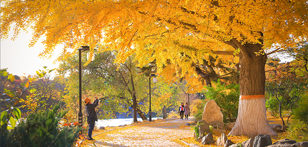 北京大學(xué)