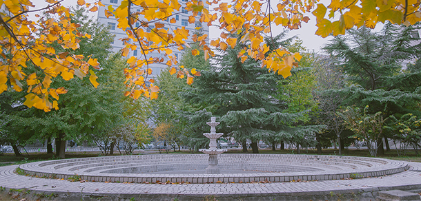 北京工商大學(xué) - 最美大學(xué)