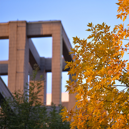 北京工商大學-大學文化