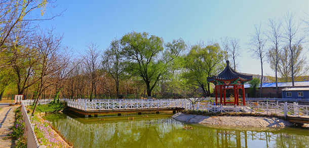 北京農(nóng)學院 - 最美大學