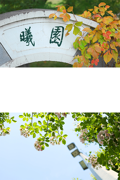 北京師范大學