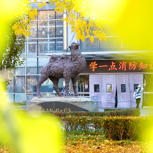 大學(xué)簡介