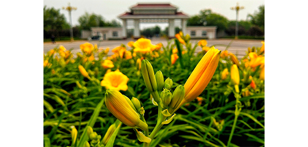 中國(guó)消防救援學(xué)院 - 最美大學(xué)