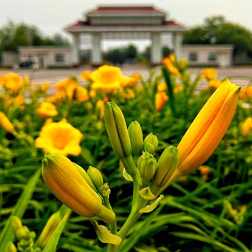 學費 / 住宿費標準