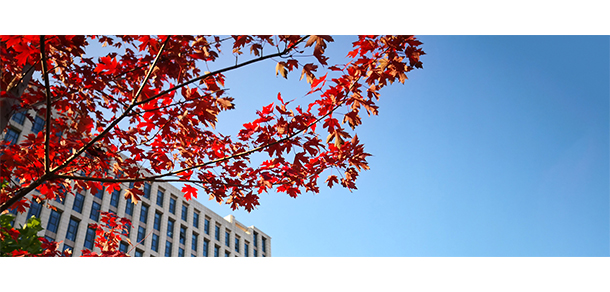 北京城市學院 - 最美大學