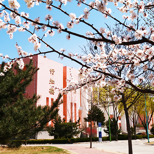 北京郵電大學世紀學院-流金歲月