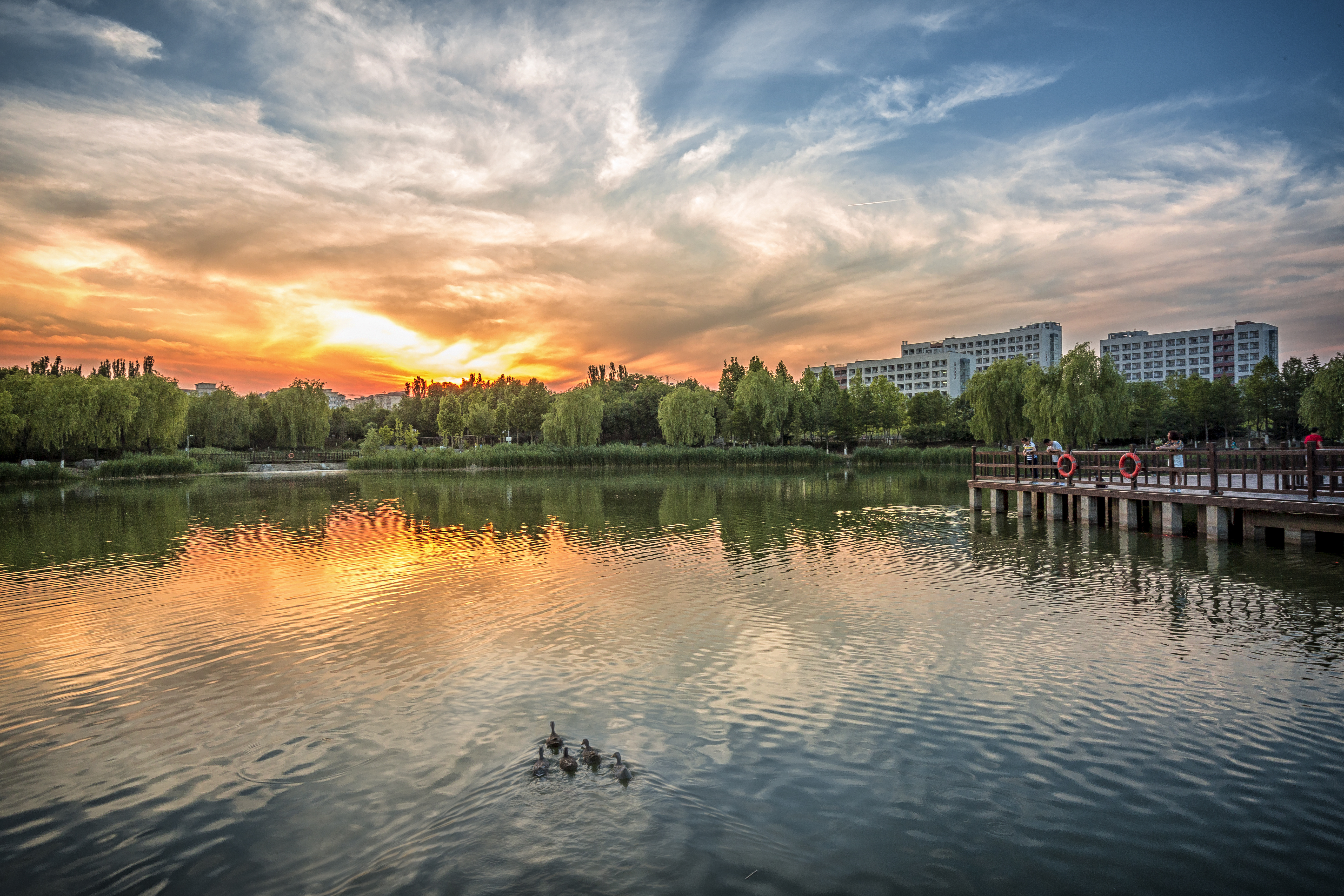 北京理工大學(xué)-校園風(fēng)景