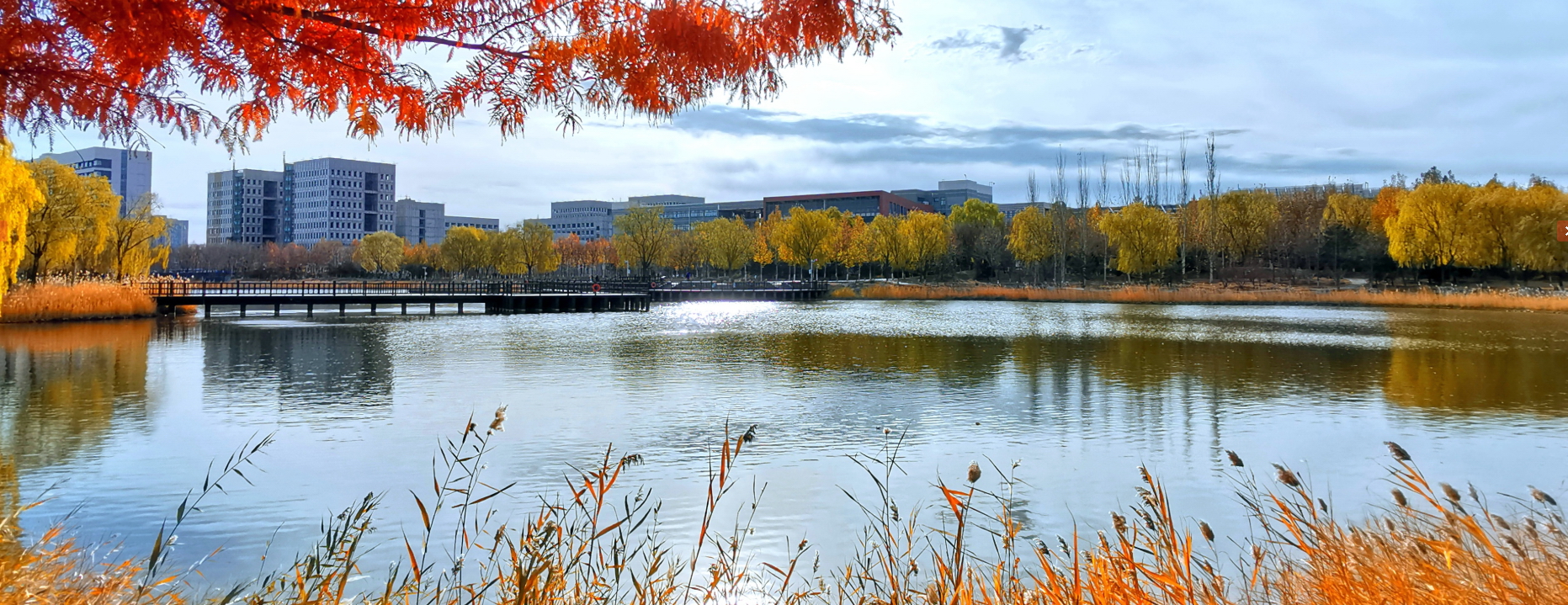 北京理工大學(xué)-校園風(fēng)景