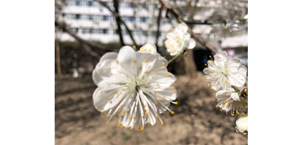 北京體育職業(yè)學(xué)院 - 最美大學(xué)