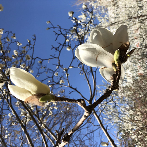 北京體育職業(yè)學(xué)院 - 書行山海 落筆芳華