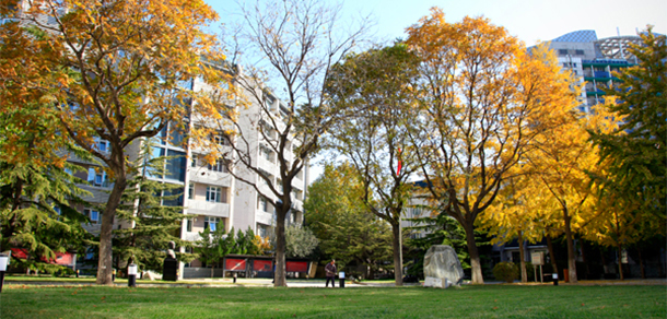 北京青年政治學(xué)院 - 最美大學(xué)