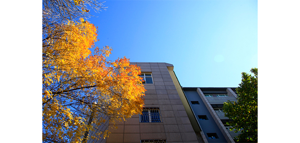 北京青年政治學(xué)院 - 最美大學(xué)